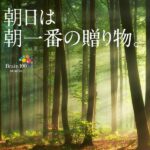 朝日は朝一番の贈り物