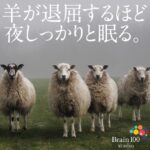 まずは夜しっかりと眠る。羊が退屈するくらいに。