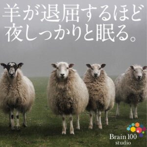 まずは夜しっかりと眠る。羊が退屈するくらいに。